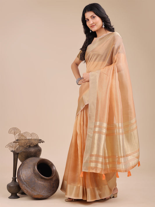 Astita Elegant Orange Organza Saree – Sheer Sophistication for Timeless Beauty