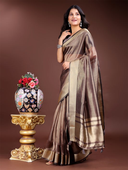 Brown Organza Saree with Golden Zari Border – Mystique Meets Elegance