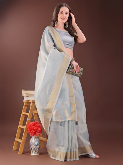 Astita Elegant Grey Organza Saree with Zari Border | Lightweight Transparent Saree with Blouse Piece for Festive & Daily Wear