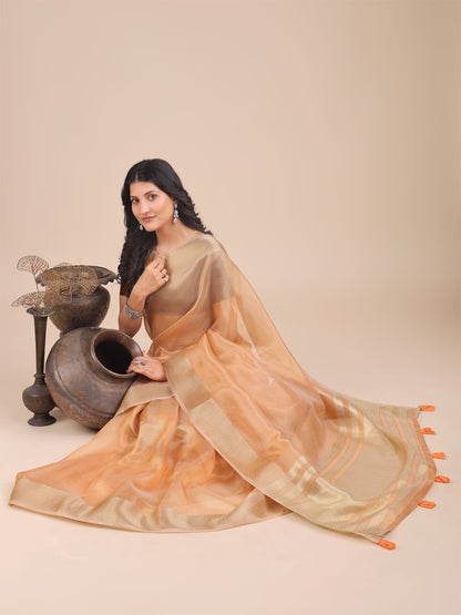 Astita Elegant Orange Organza Saree – Sheer Sophistication for Timeless Beauty