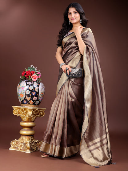 Brown Organza Saree with Golden Zari Border – Mystique Meets Elegance